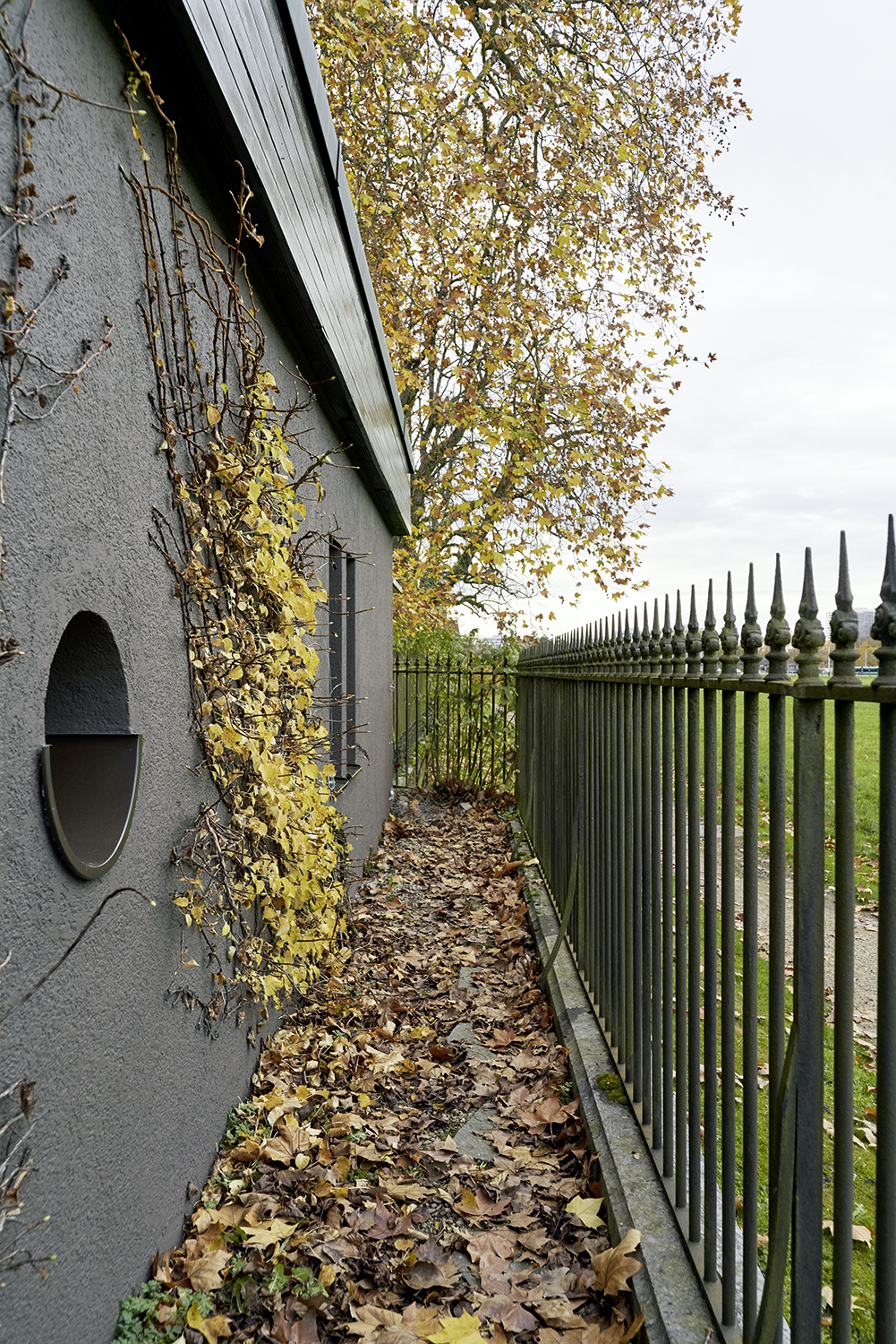 Garten, Bild © Ludovic Balland Architecture Fotografie
